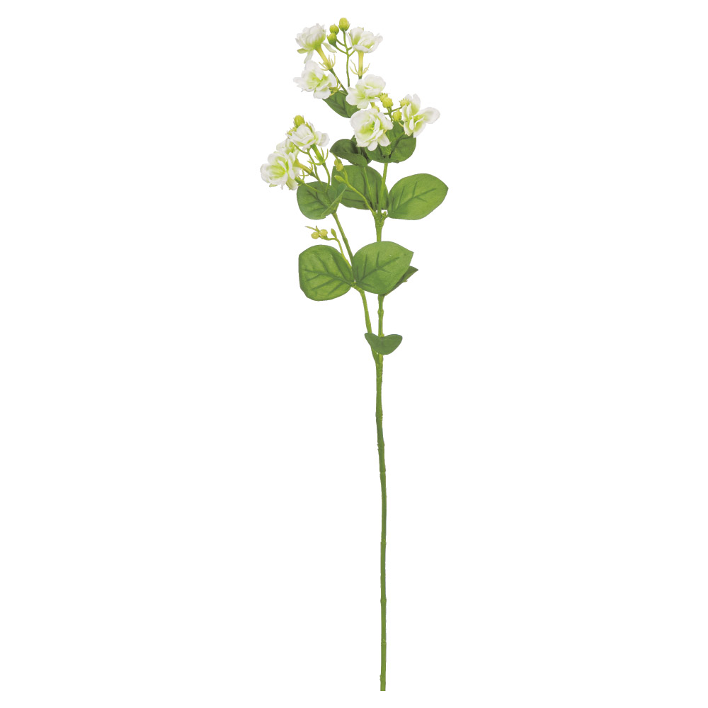 ジャスミン×9つぼみ×19