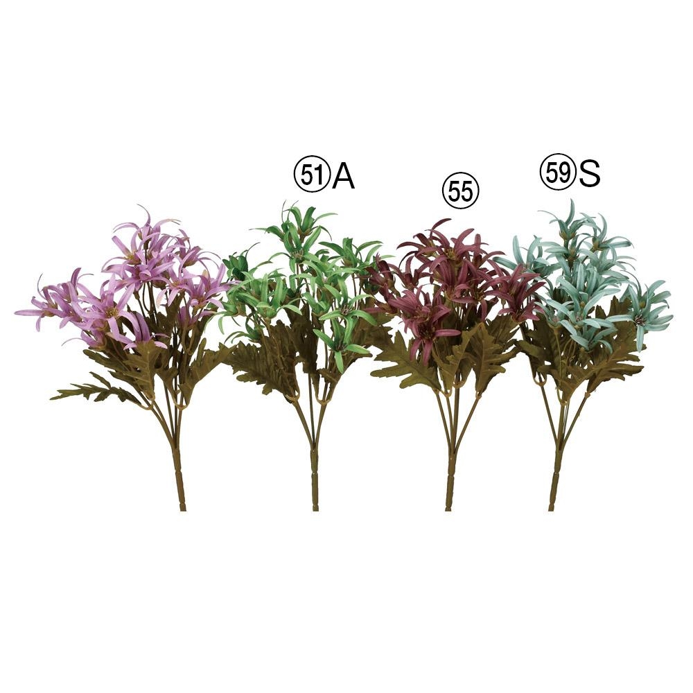 ブロッサムブッシュ