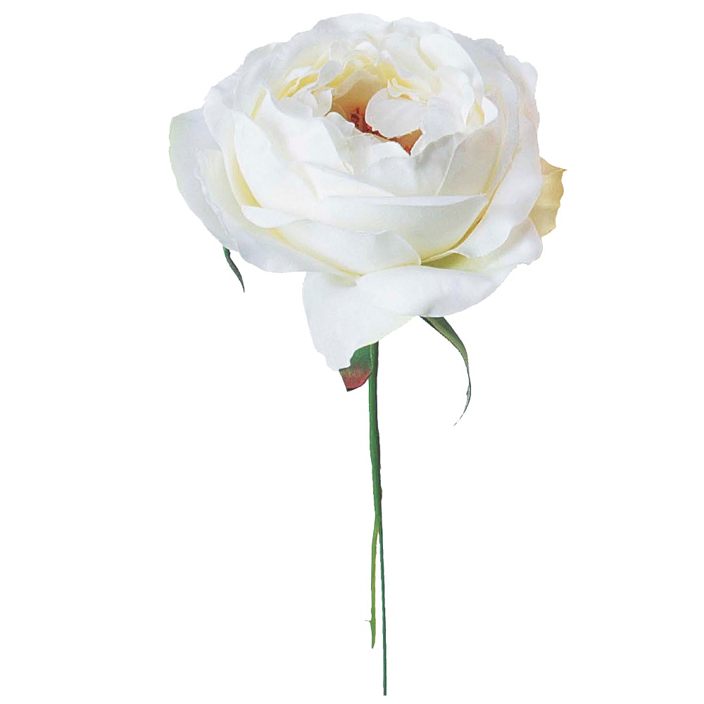 キャベッジローズピック 商品案内 株式会社アスカ商会