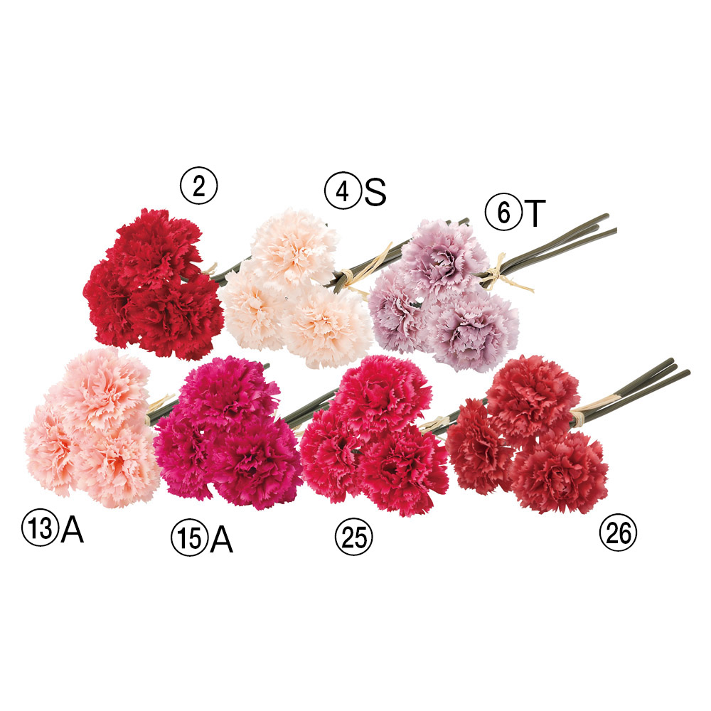 カーネーションバンチ（1束3本）