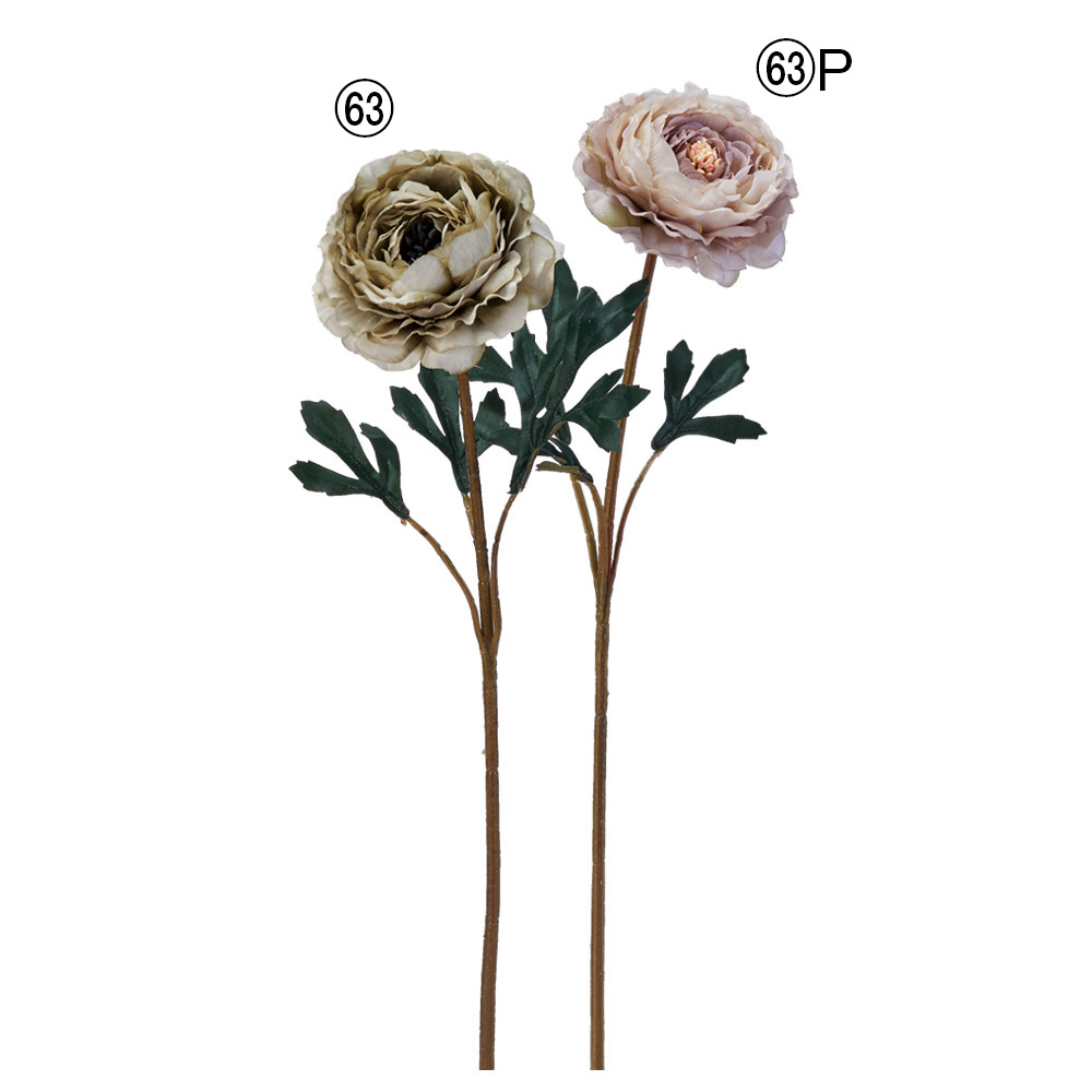 ラナンキュラス