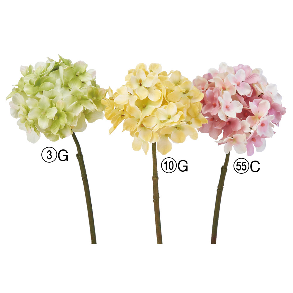 ハイドランジアピック