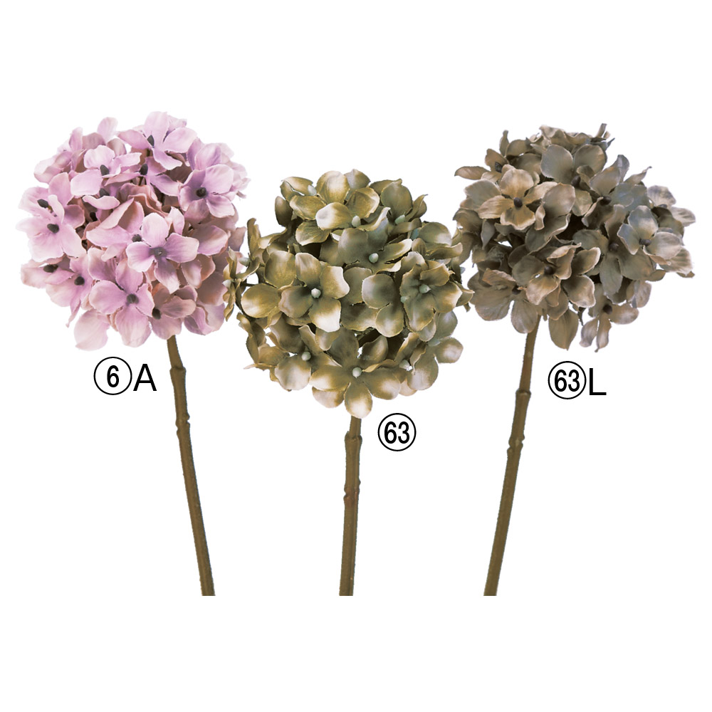 ハイドランジア