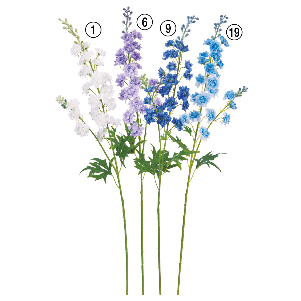 デルフィニウム