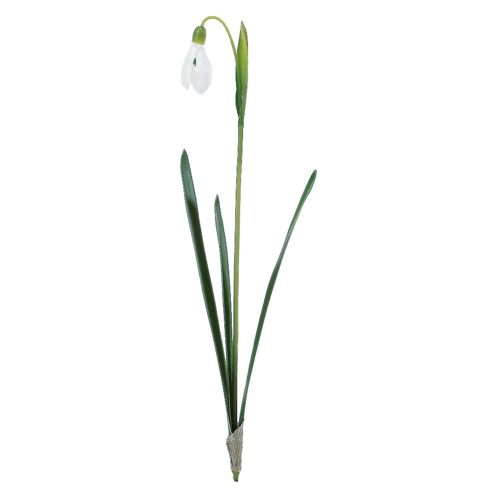 スノードロップ 商品案内 株式会社アスカ商会