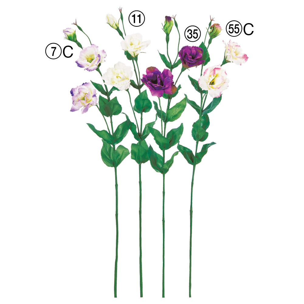 トルコギキョウ×2つぼみ×1