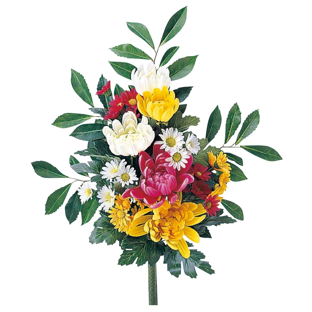 仏花（菊）