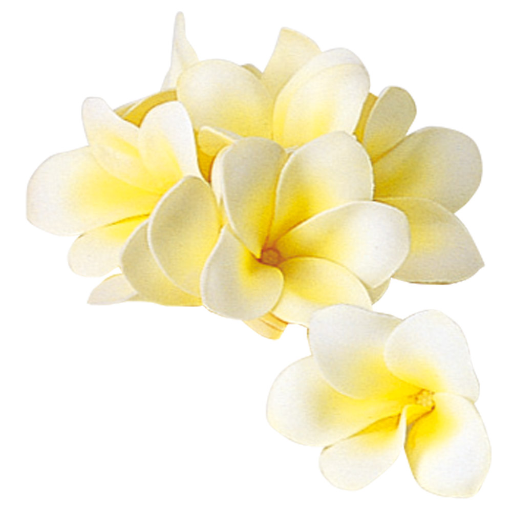 プルメリア（1箱8輪入）｜商品案内｜株式会社アスカ商会