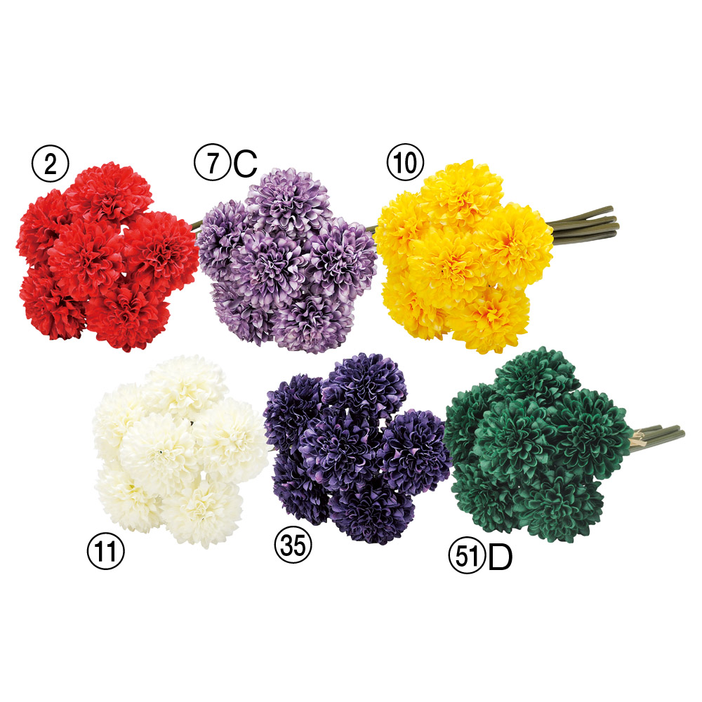 ポンポンマムバンチ（1束6本）