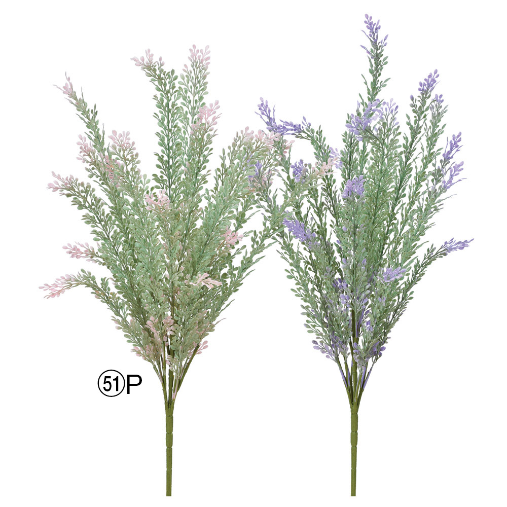 フォリッジブッシュ