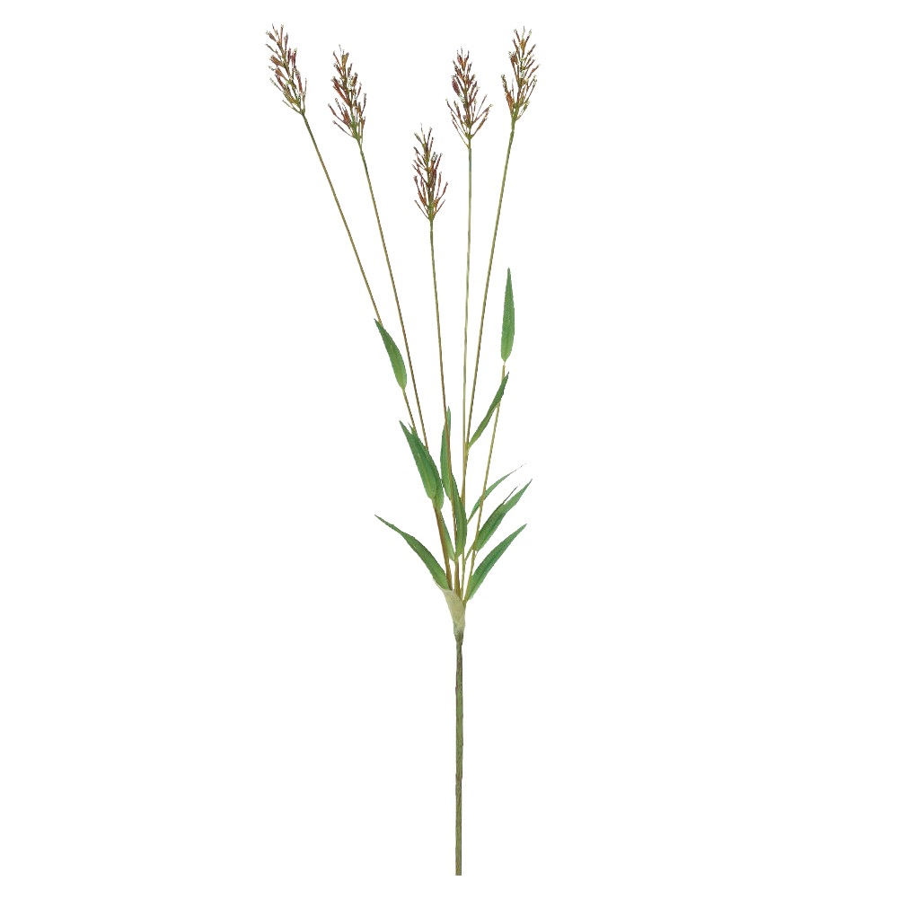 ヒエ 商品案内 株式会社アスカ商会