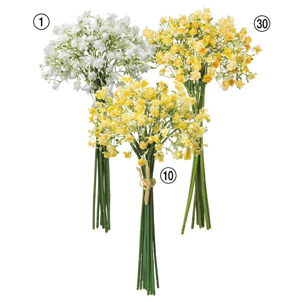 ジプソフィラバンチ（1束10本）