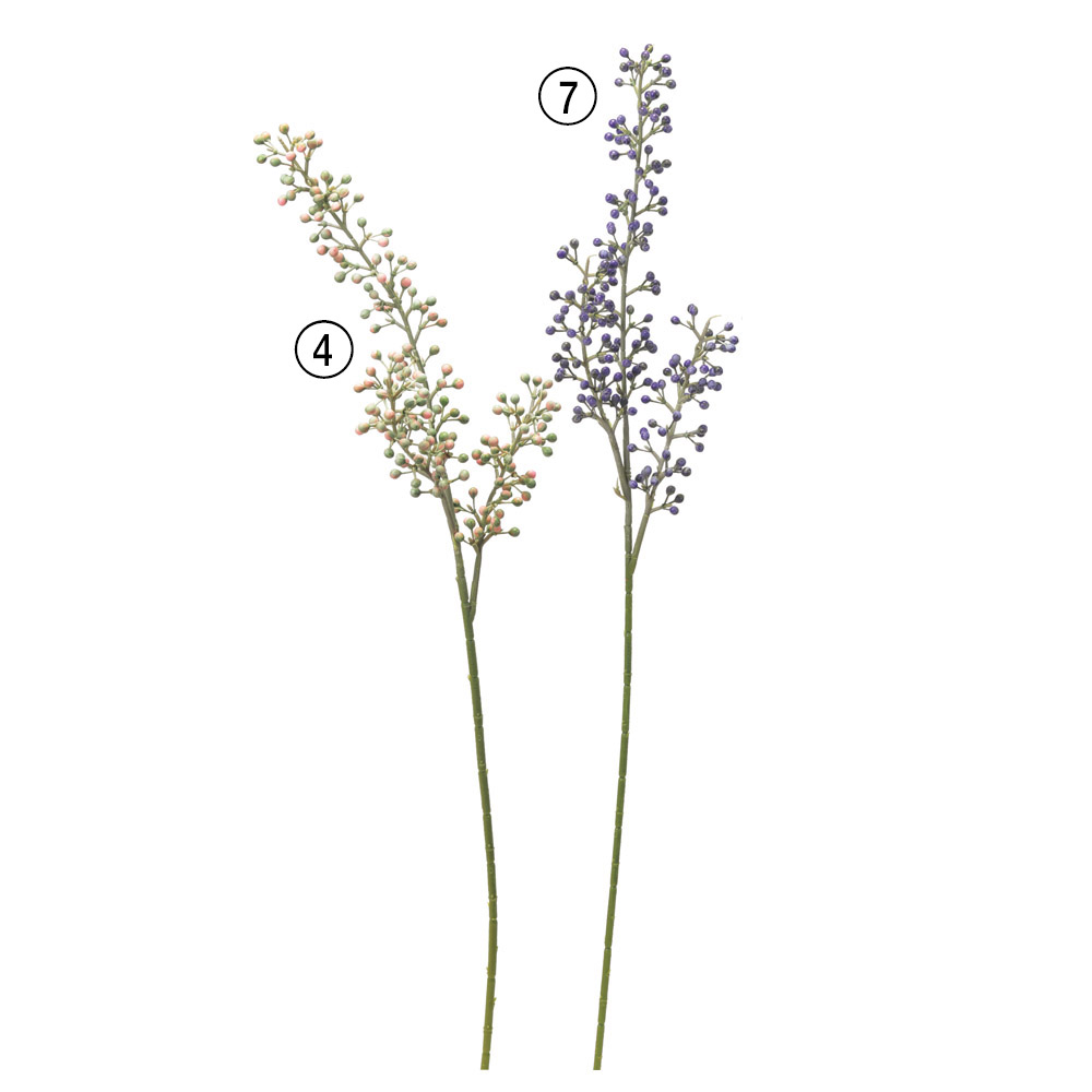 ベリースプレー