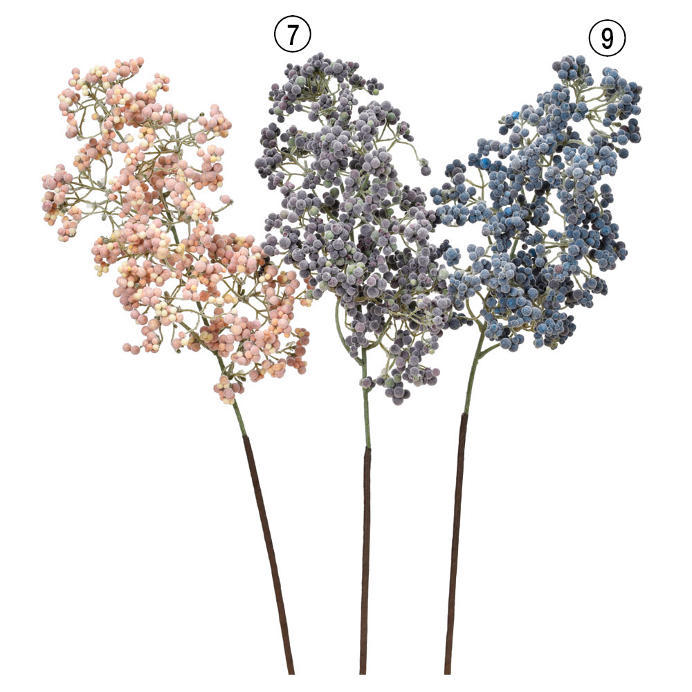 ベリースプレー