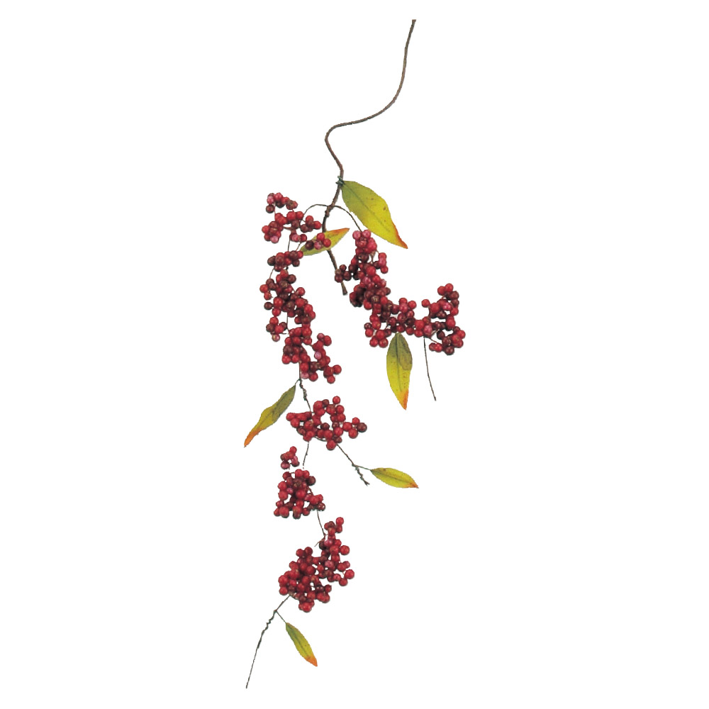 ベリースプレー