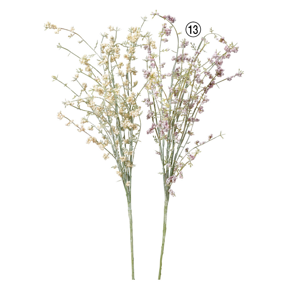 ワイルドグラス