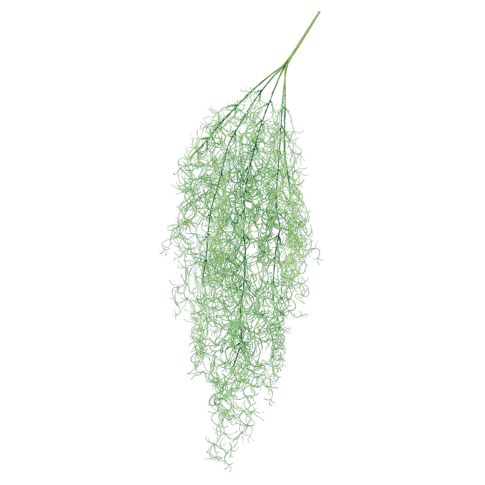 スパニッシュモス