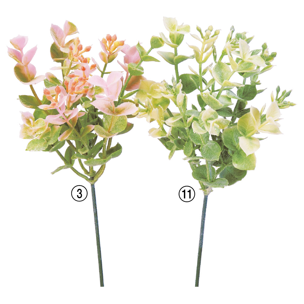 ユーカリピック