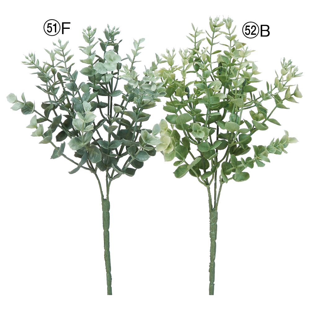 ユーカリブッシュ