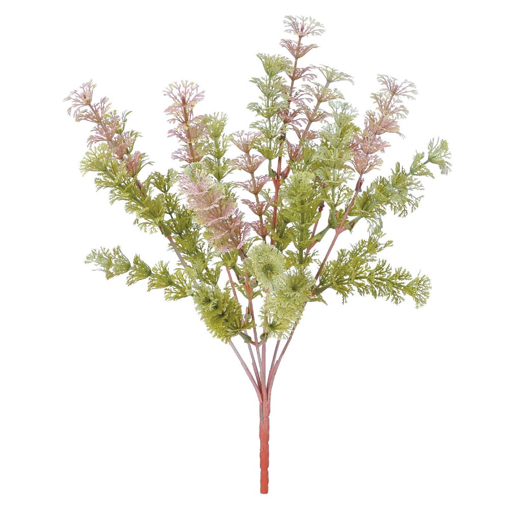 ハゴロモモ（羽衣藻）｜商品案内｜株式会社アスカ商会