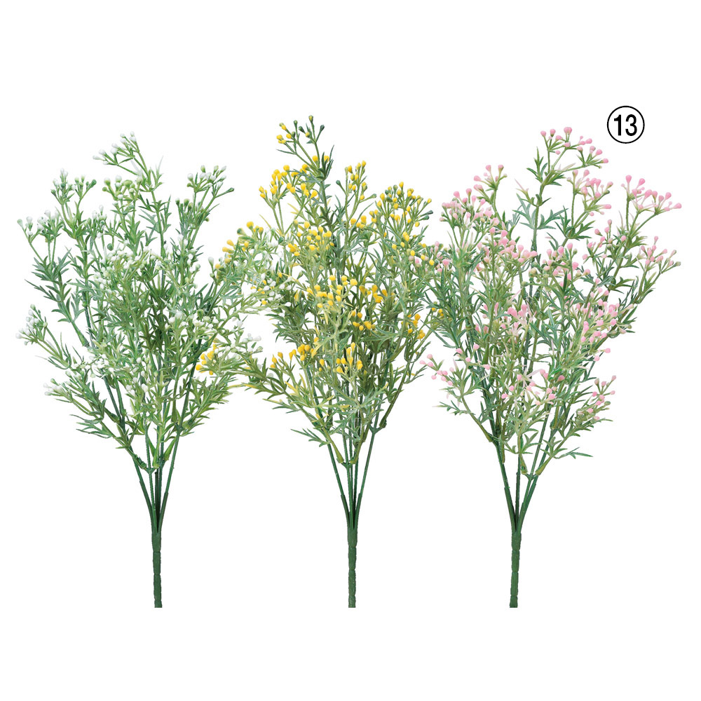 ベリーブッシュ