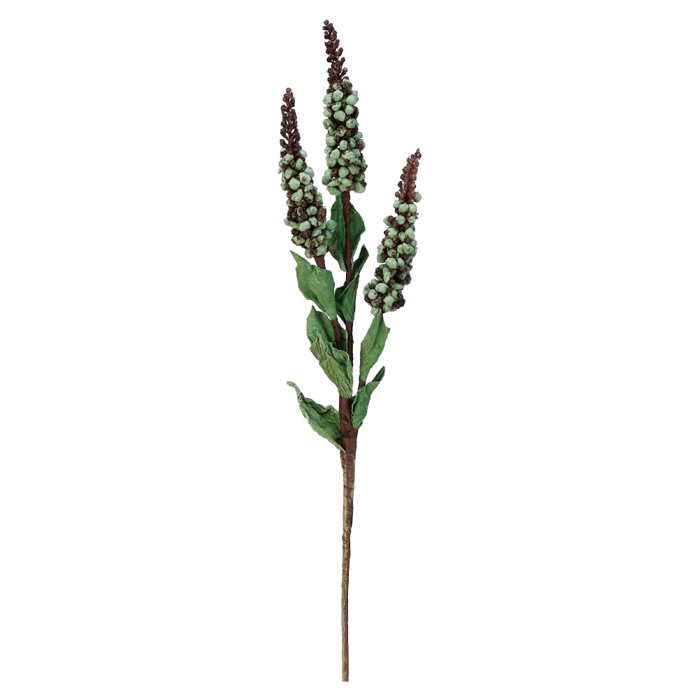 ドライタッチベリー