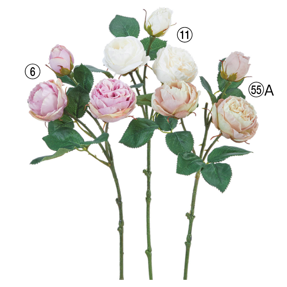 ローズ×2つぼみ×1