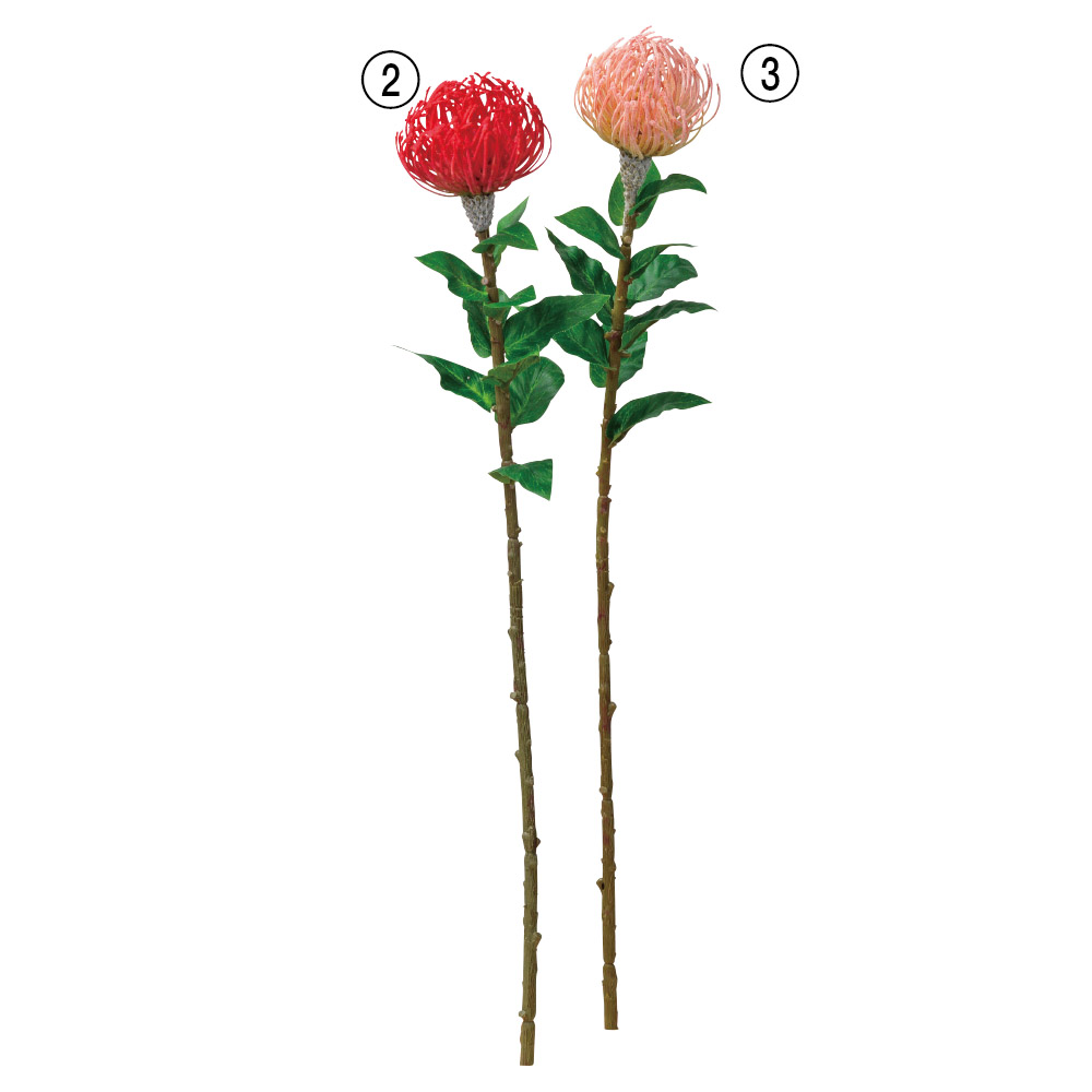 ピンクッション 商品案内 株式会社アスカ商会