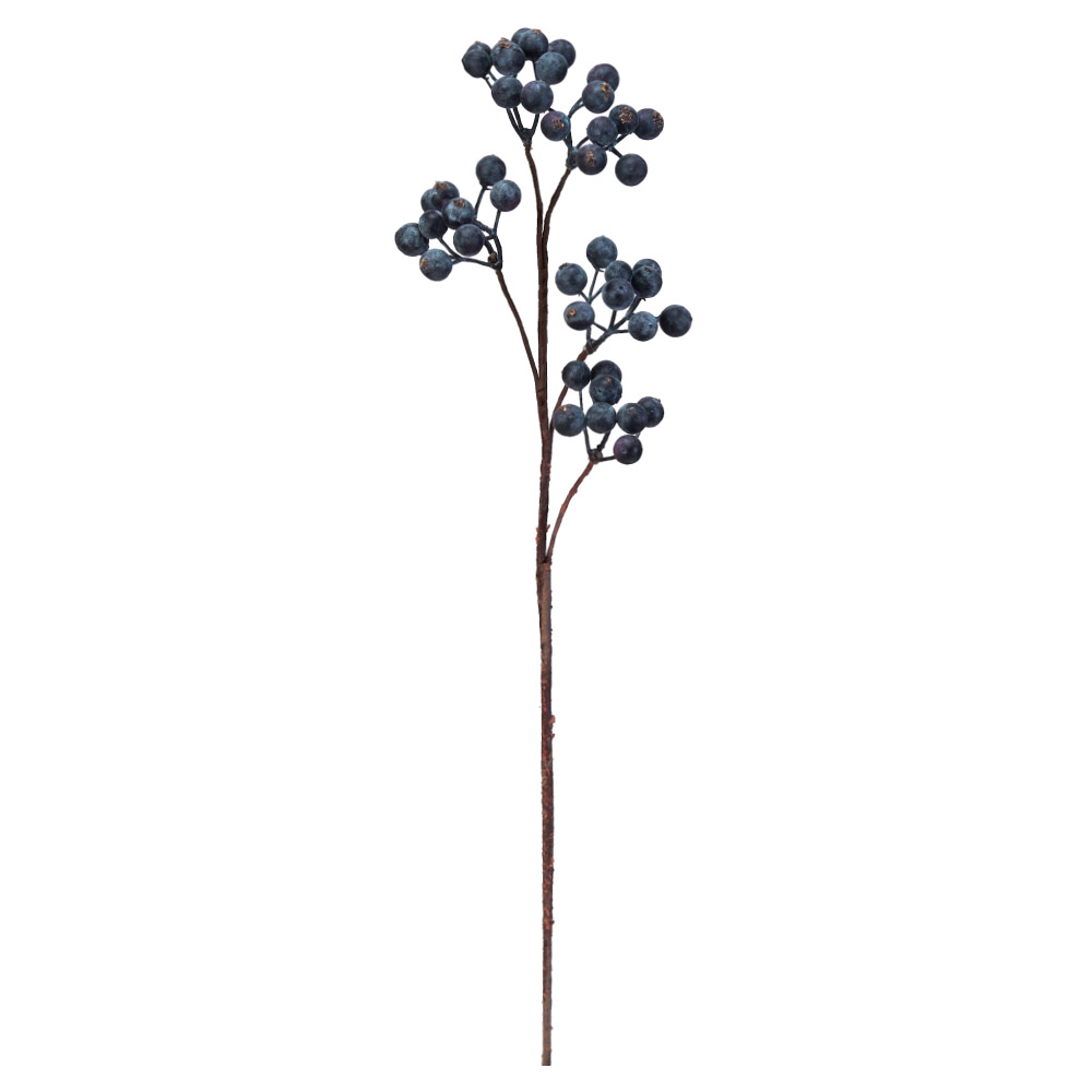 ベリースプレー