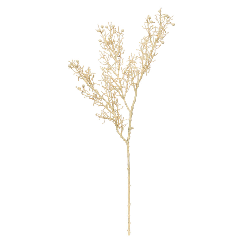 サイプレススプレー