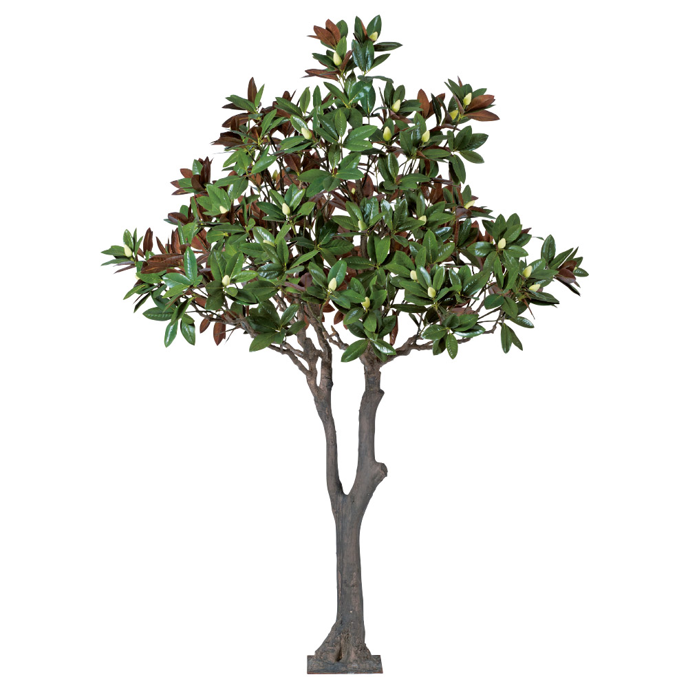 マグノリア 商品案内 株式会社アスカ商会