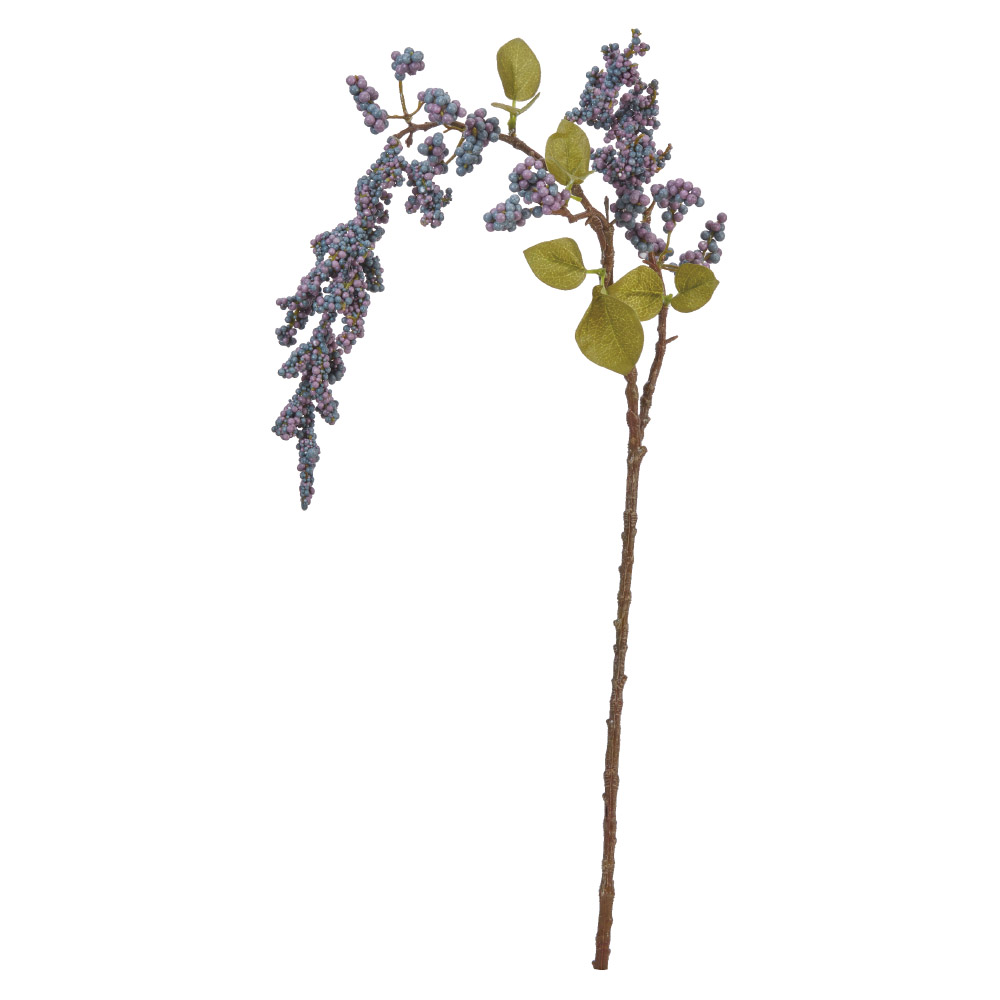 ベリースプレー