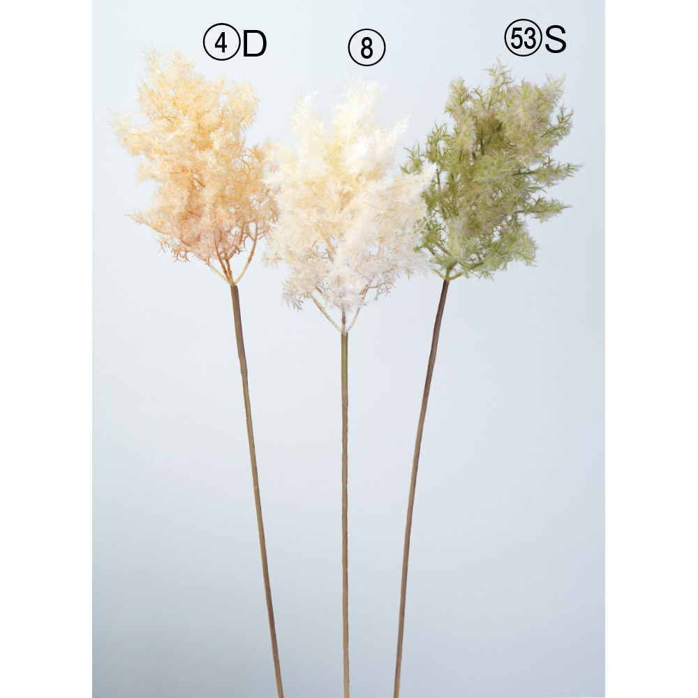 スモークツリー