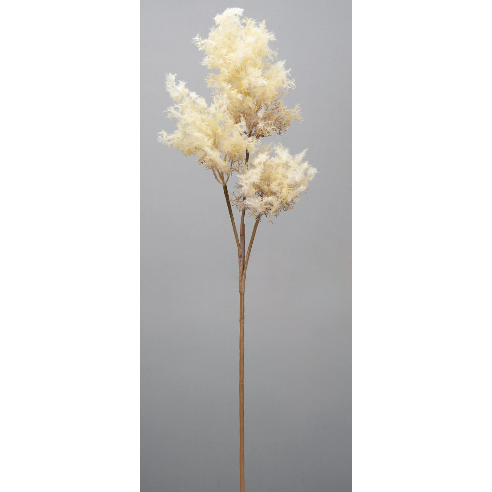 スモークツリー