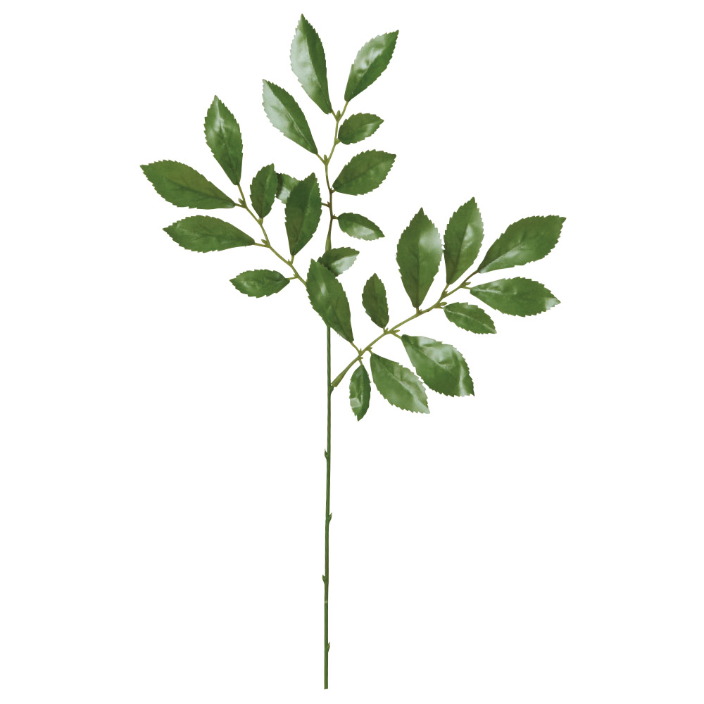 榊