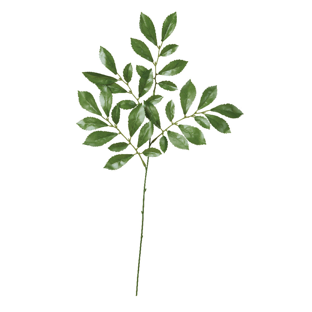 榊