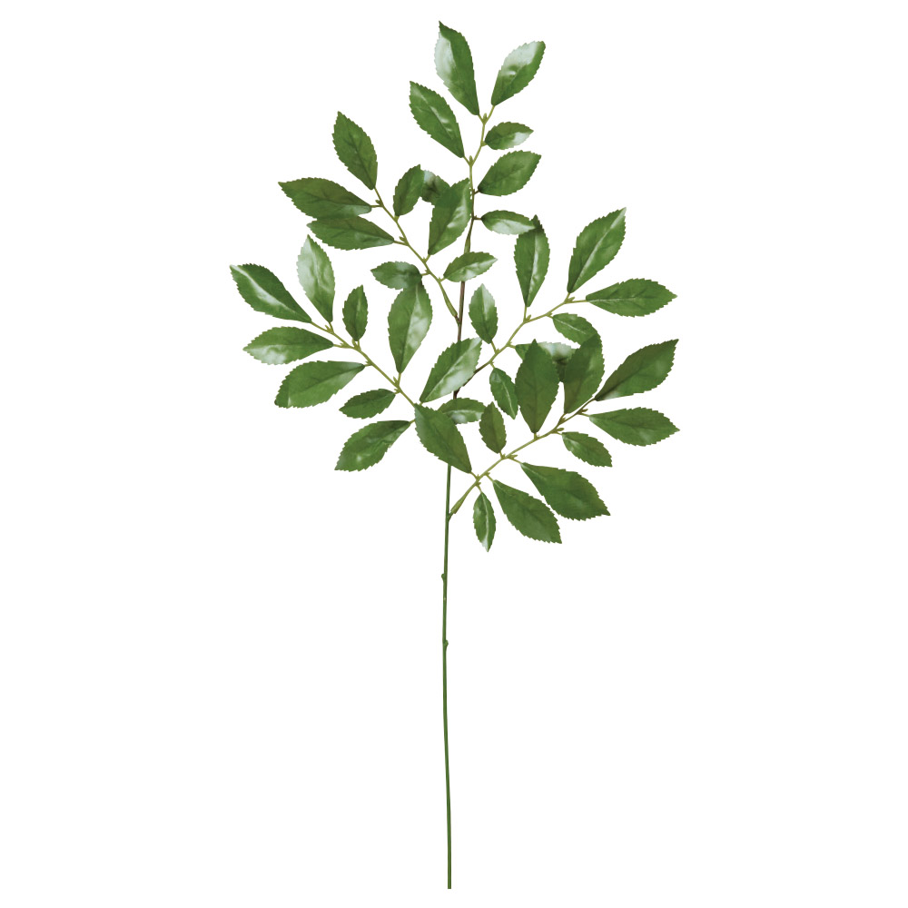 榊