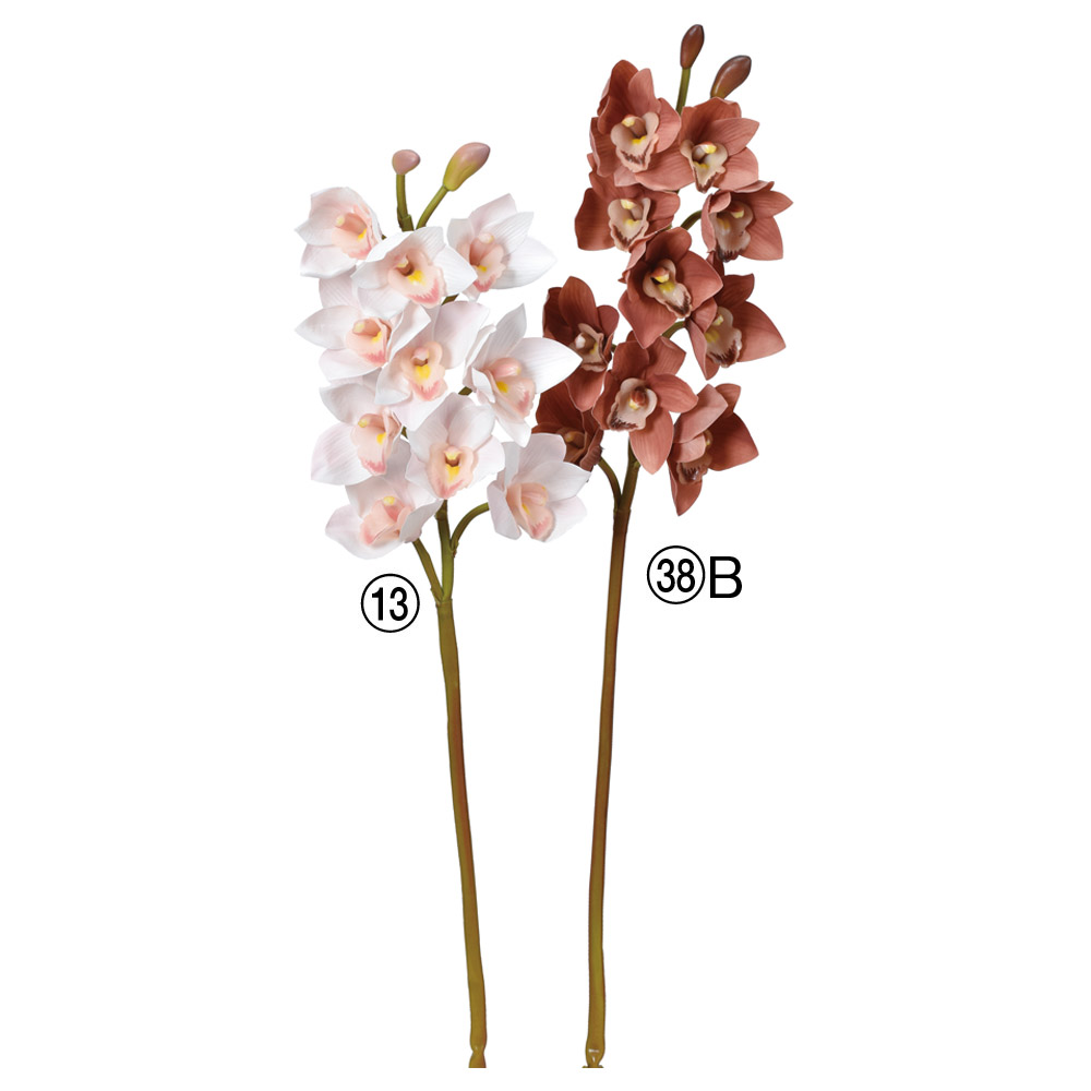 シンビジューム×10つぼみ×2