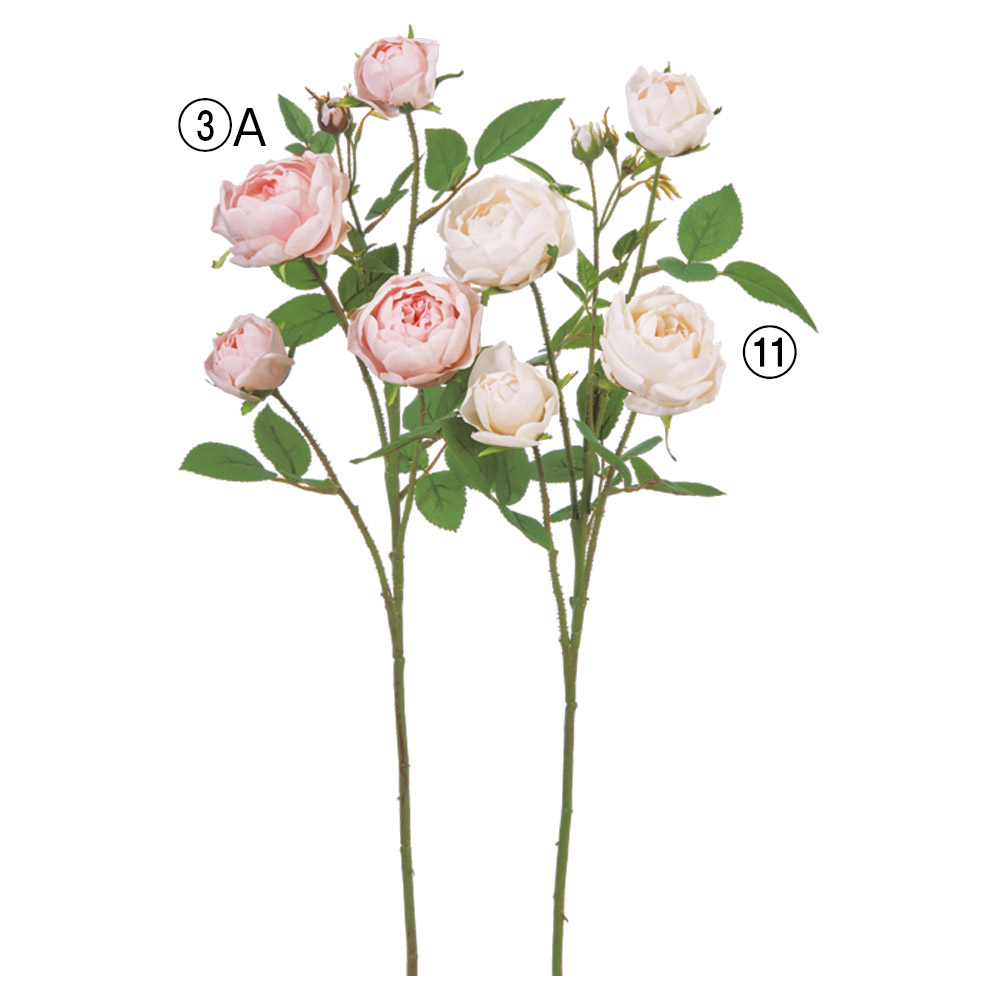 ローズ×4つぼみ×3