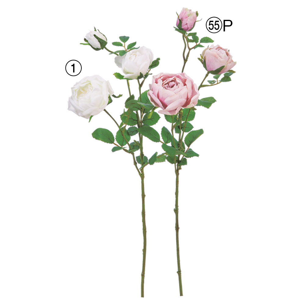 ローズ×2つぼみ×1