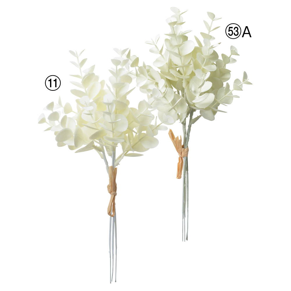 ミニユーカリバンチ（1束3本）