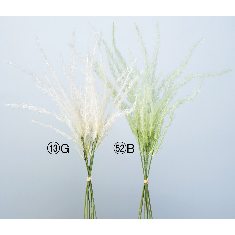 パンパスバンチ（1束6本）