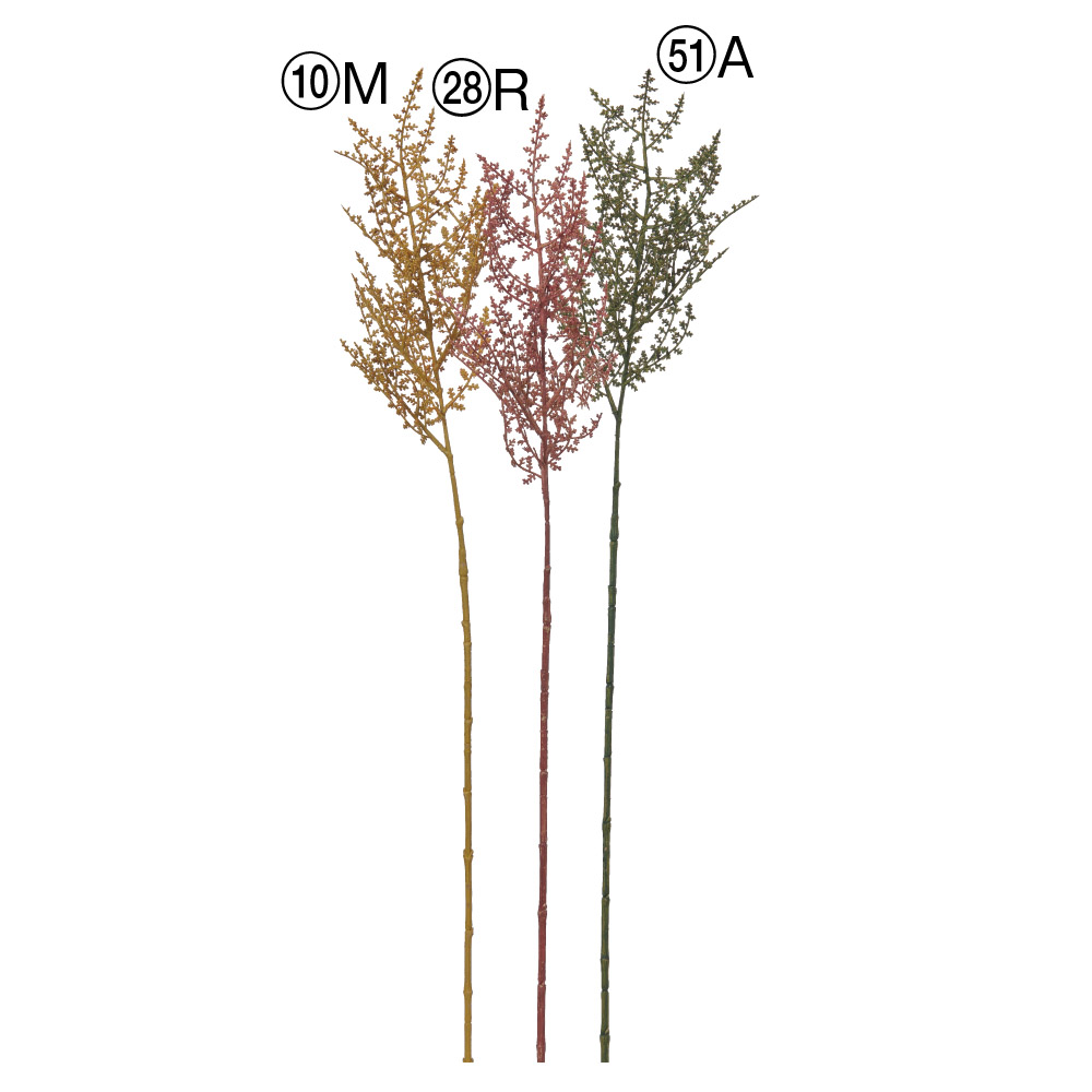 アランカススプレー