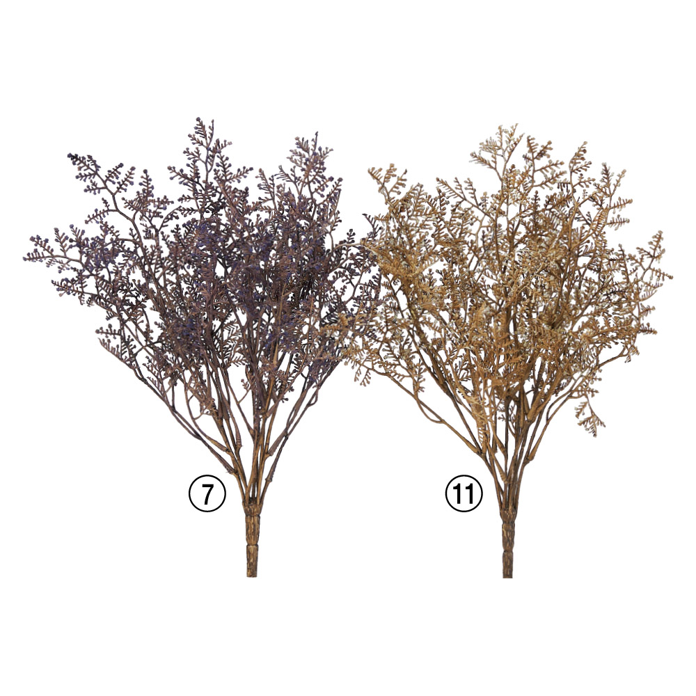 リモニウムブッシュ