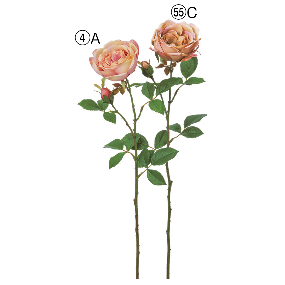 ローズ×1つぼみ×1