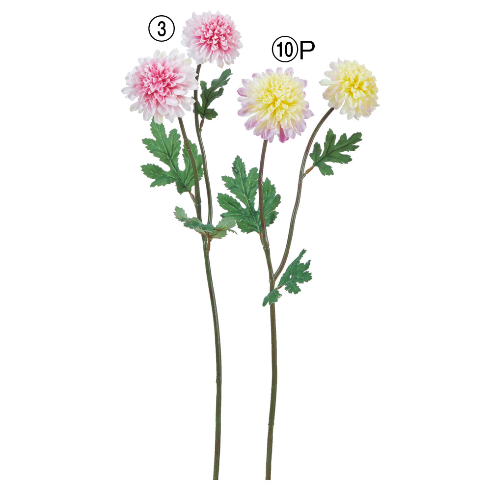 ポンポンマムスプレー×2