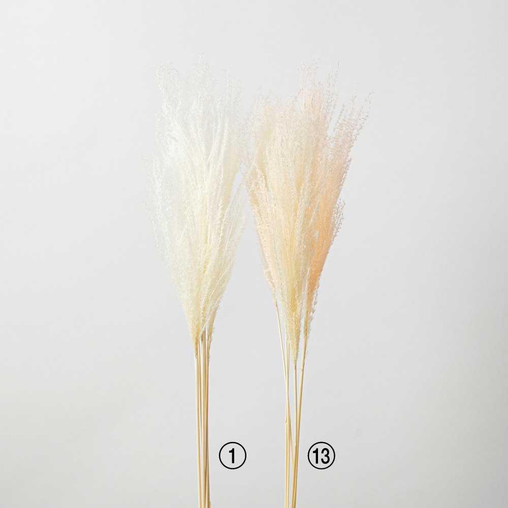 はなびら（1袋9g・約420枚入）｜商品案内｜株式会社アスカ商会