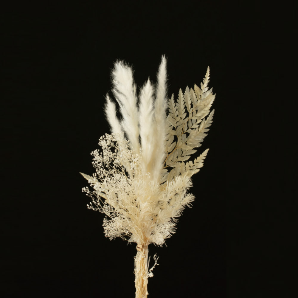 はなびら（1袋9g・約420枚入）｜商品案内｜株式会社アスカ商会