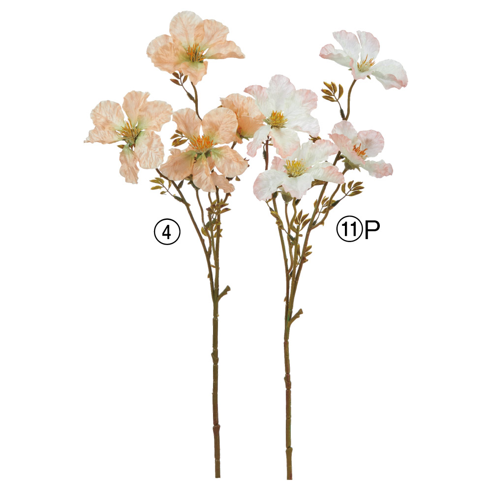 ワイルドフラワー×5