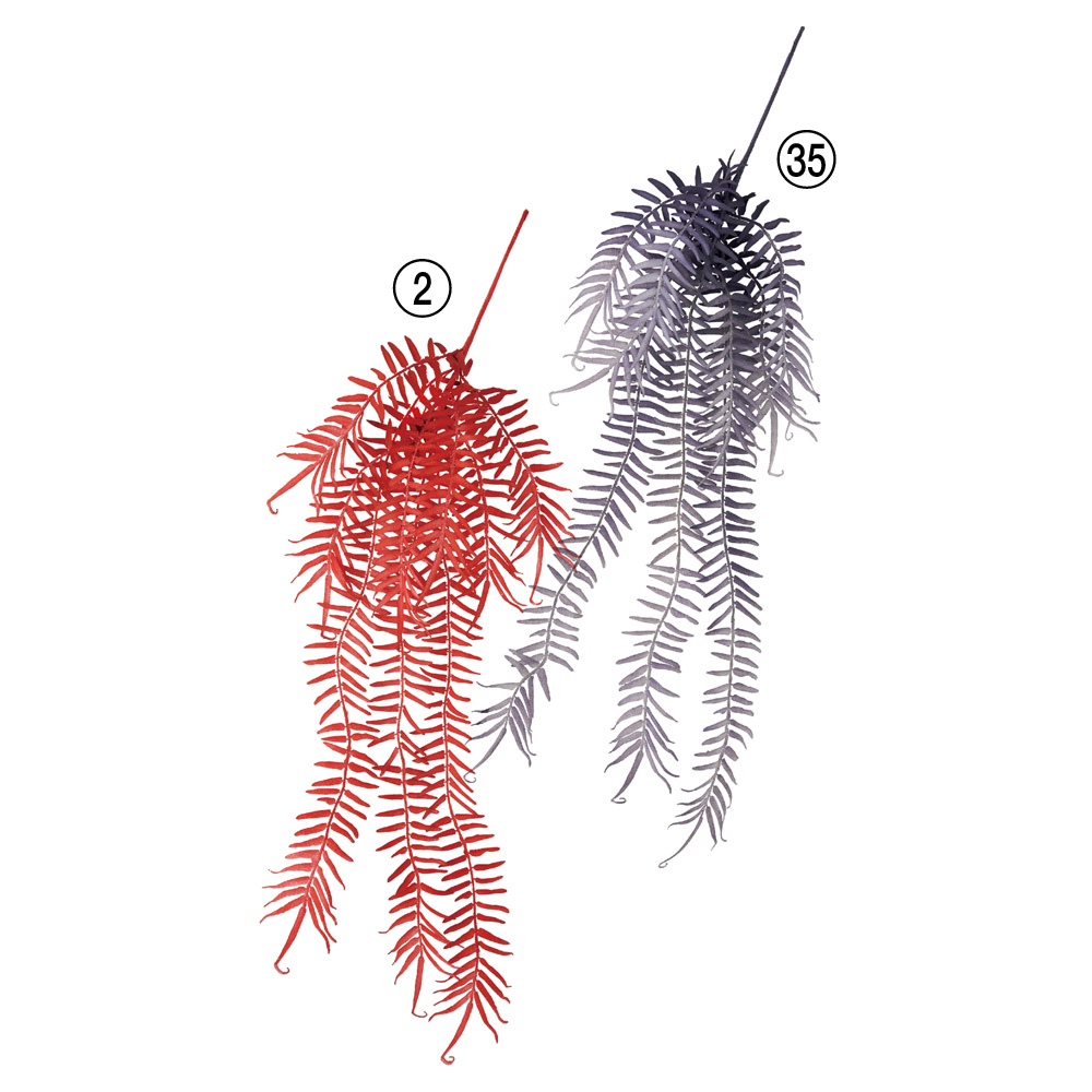 ファーンハンギングスプレー